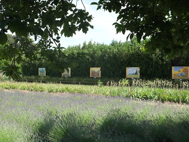 Garten des Van Gogh Museums